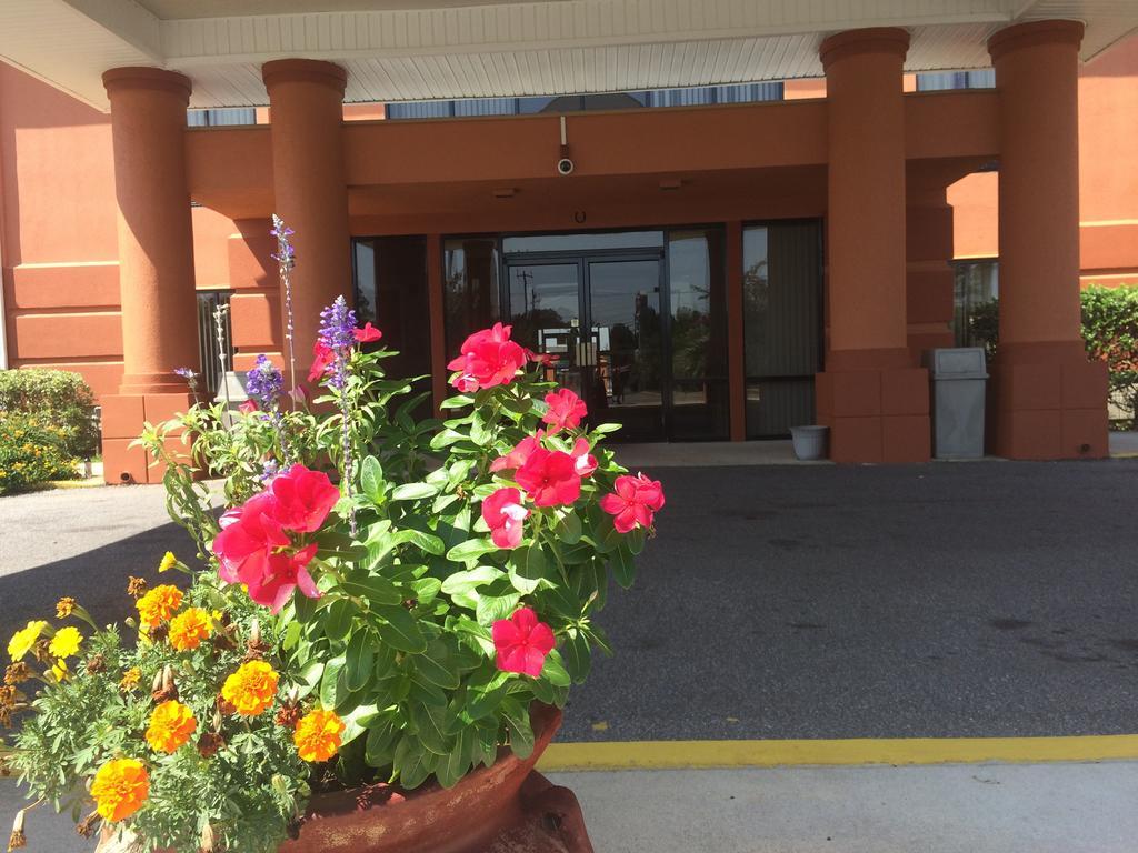 Luxury Suites Ferry Pass Esterno foto